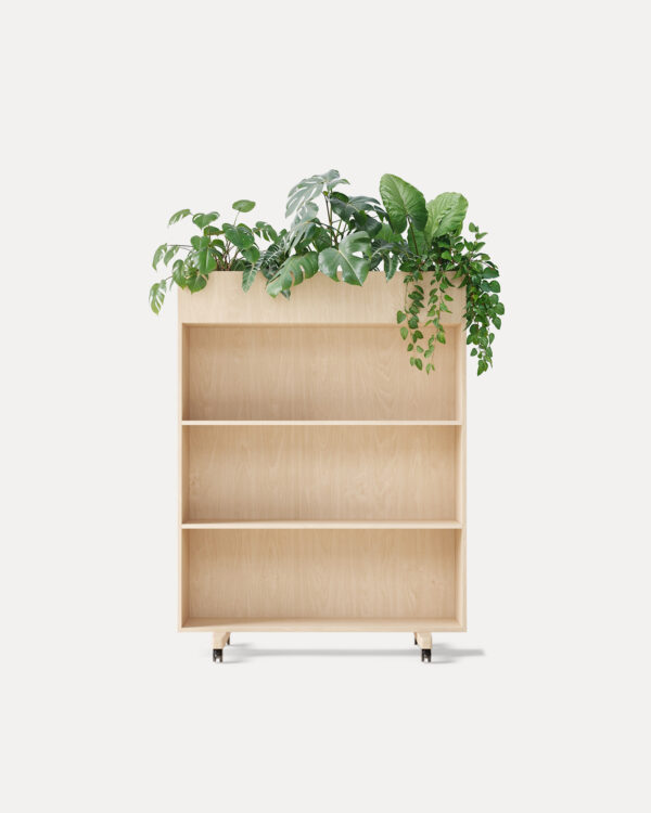 Zorla Shelf