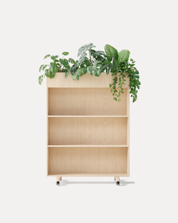 Zorla Shelf